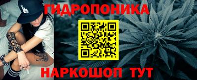 крисы Чебоксары