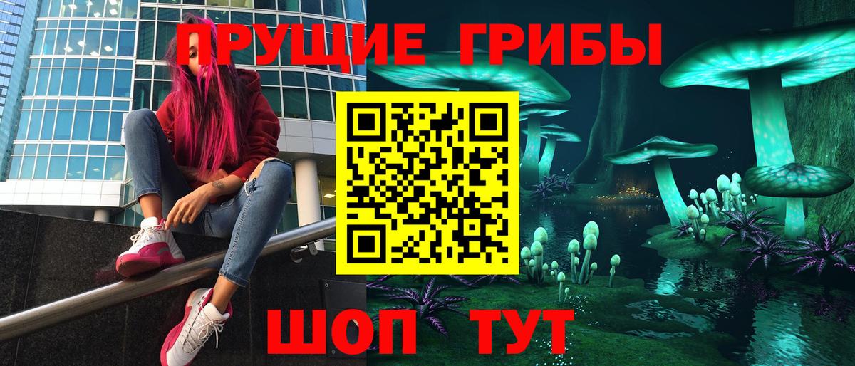 Галлюциногенные грибы Psilocybine cubensis  Вход с VPN  Верхний Уфалей  Галлюциногенные грибы Cubensis 